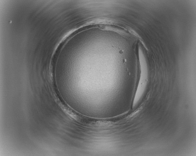 X0000063510981200602101921