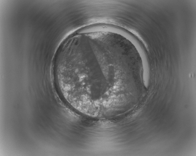 X0000063510983200602101921