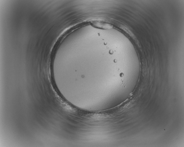 X0000063510984200602101921