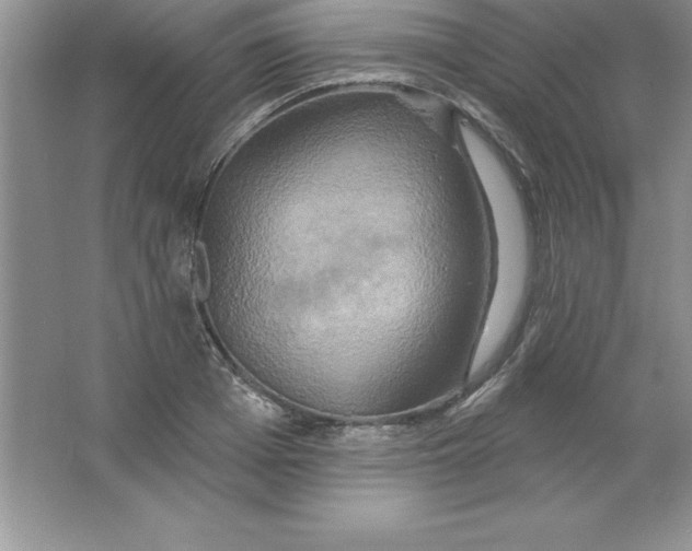 X0000063510985200602101921