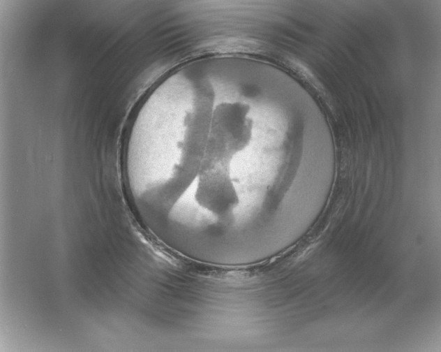 X0000063510986200602101921