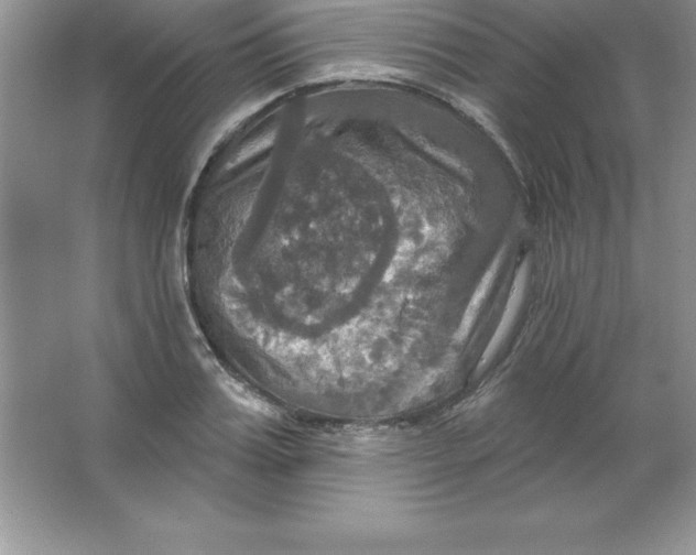 X0000063510987200602101921