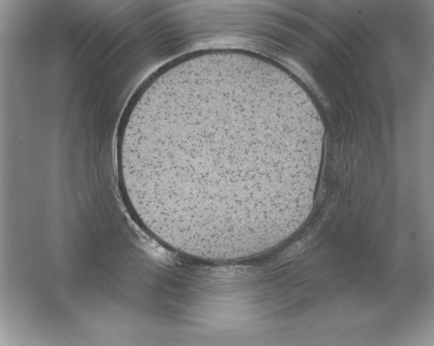 X0000063510988200602101921