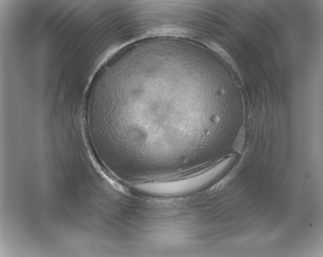 X0000063510989200602101921