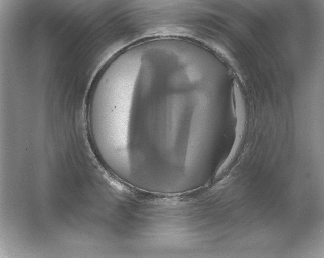 X0000063510990200602101921