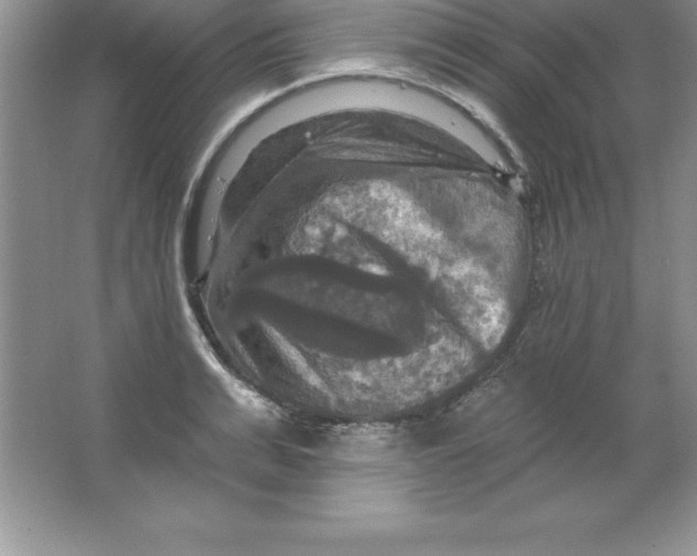 X0000063510991200602101921