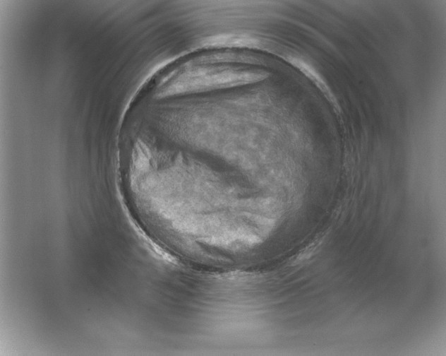 X0000063510992200602101921