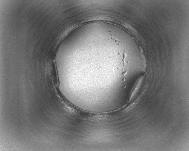 X0000063510993200602101921