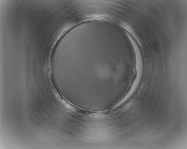 X0000063510994200602101921