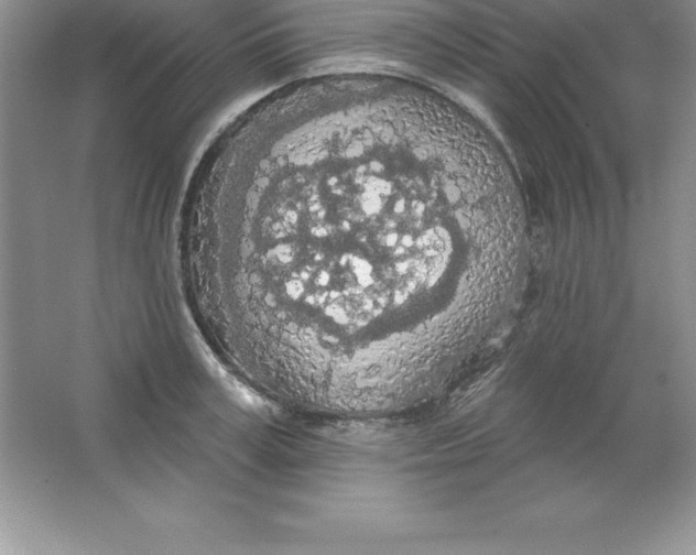 X0000063510995200602101921