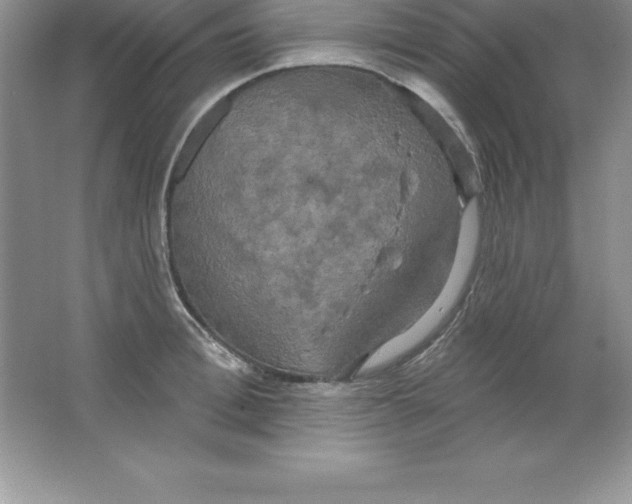 X0000063510996200602101921