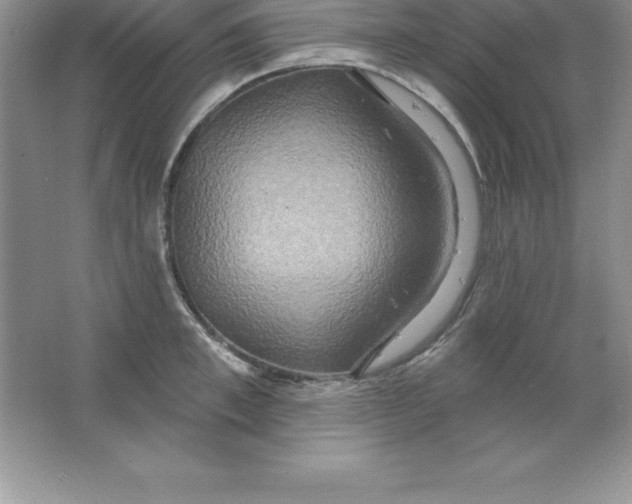 X0000063510997200602101921