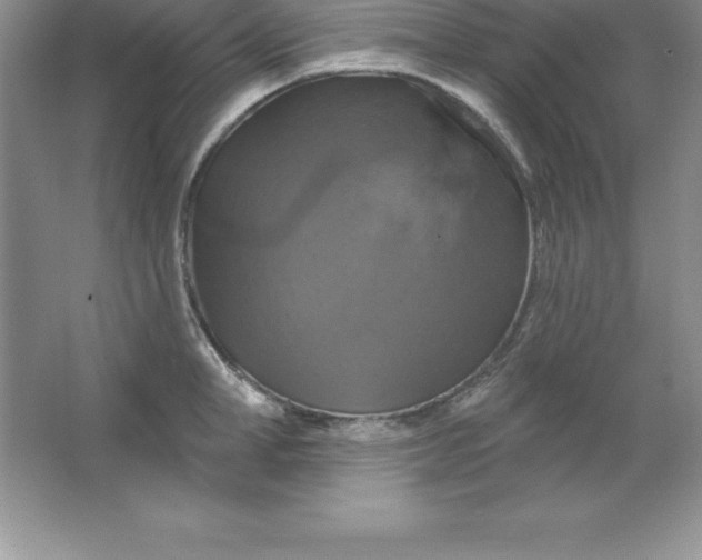 X0000063510998200602101921