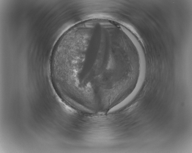 X0000063510999200602101921