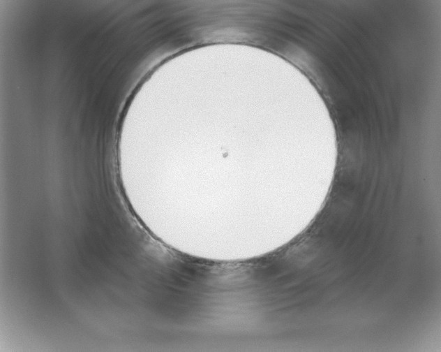 X0000063511000200602101920