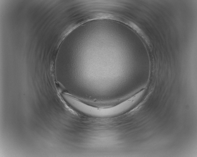 X0000063511001200602101920