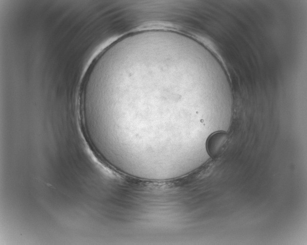 X0000063511003200602101920