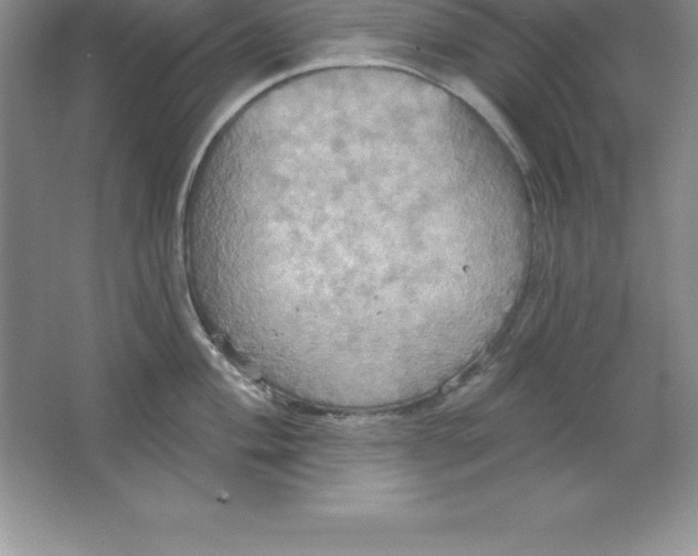 X0000063511004200602101920