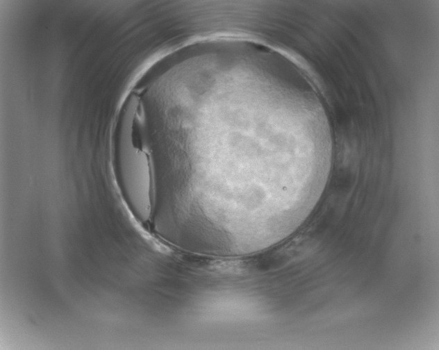 X0000063511006200602101920