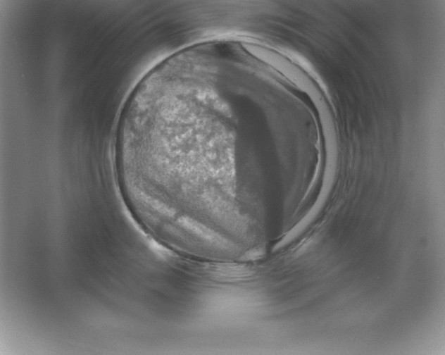 X0000063511007200602101920