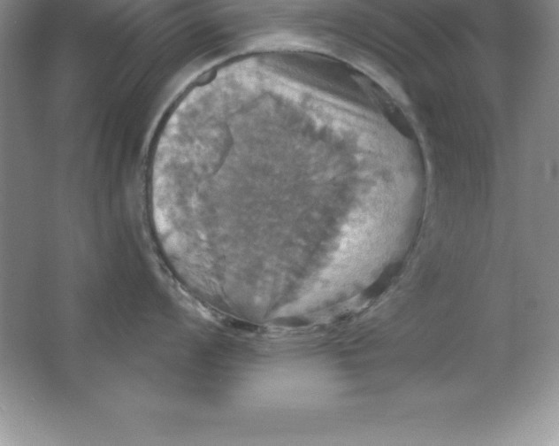 X0000063511008200602101920