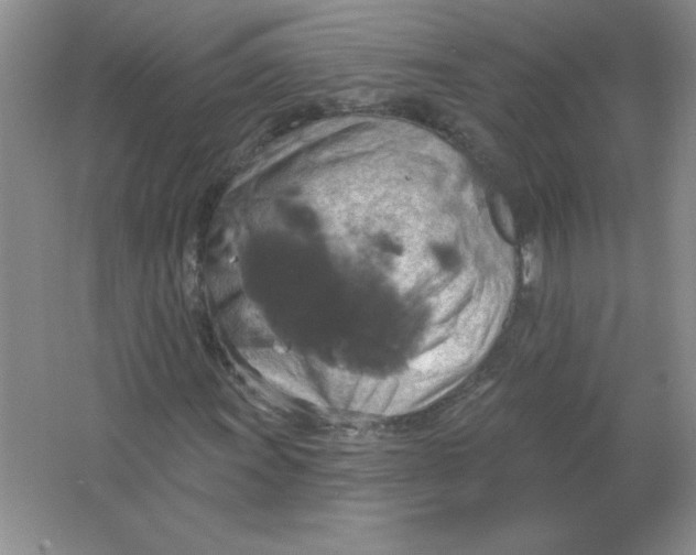 X0000063511011200602101920