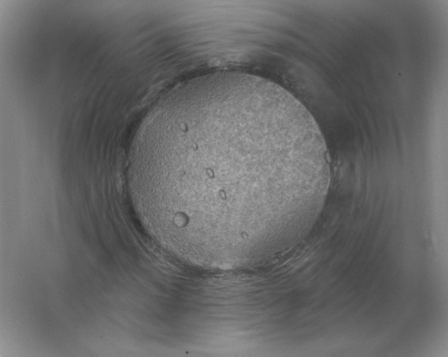 X0000063511012200602101920