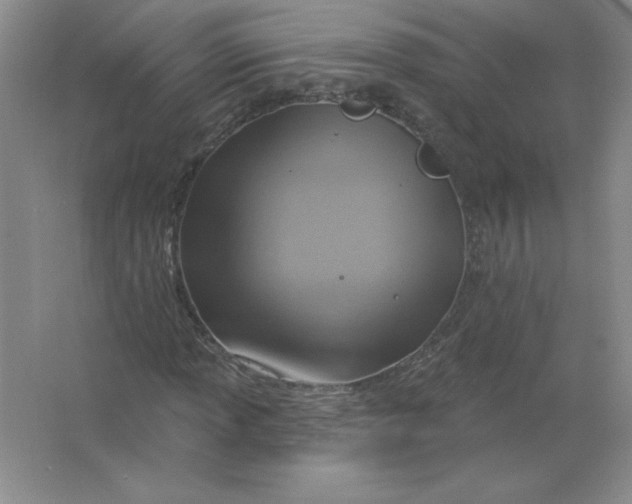 X0000063511013200602101920