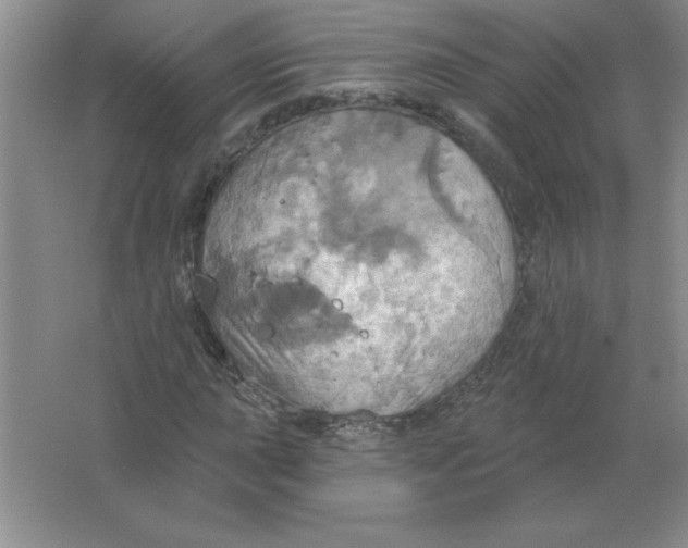 X0000063511015200602101920