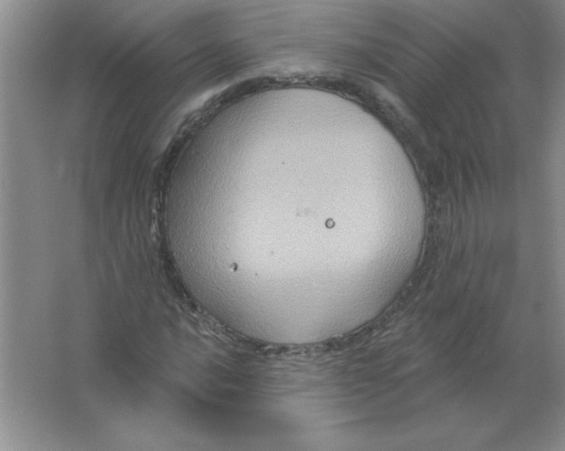 X0000063511016200602101920