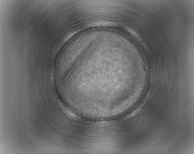 X0000063511017200602101920