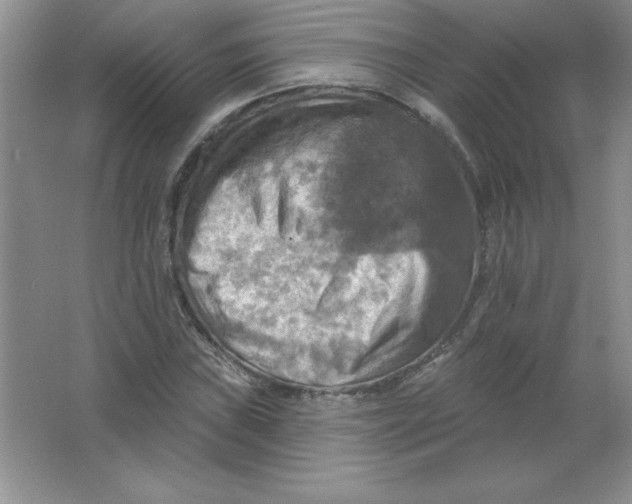 X0000063511019200602101920