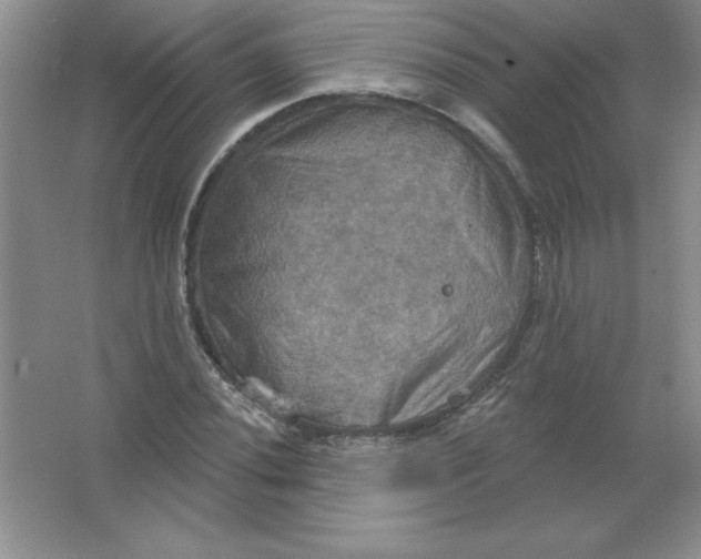 X0000063511020200602101920