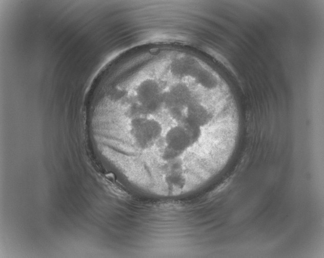 X0000063511021200602101920