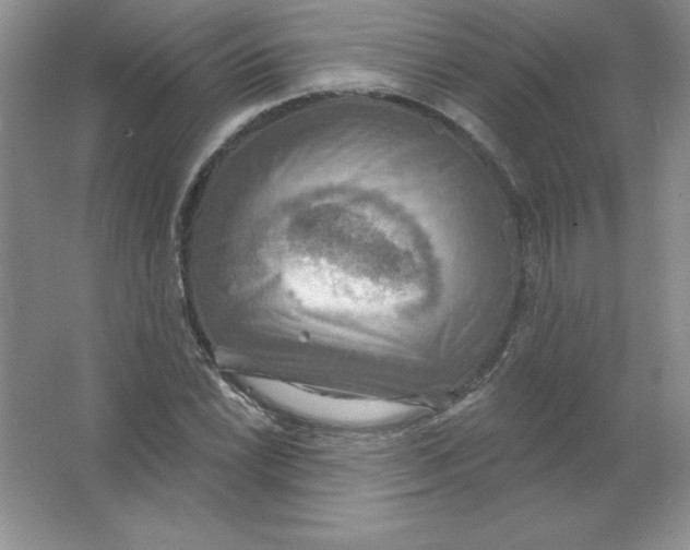 X0000063511022200602101920