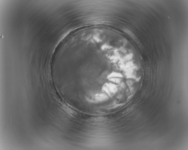 X0000063511023200602101920