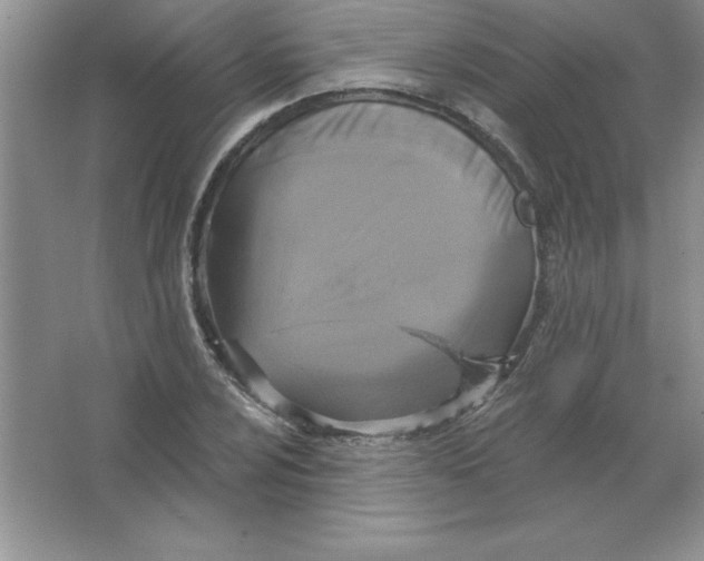 X0000063511024200602101920