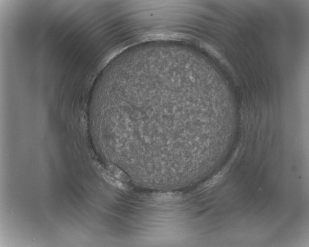 X0000063511025200602101920