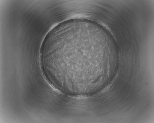 X0000063511029200602101920