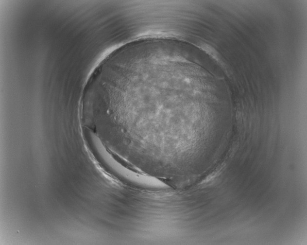 X0000063511030200602101920