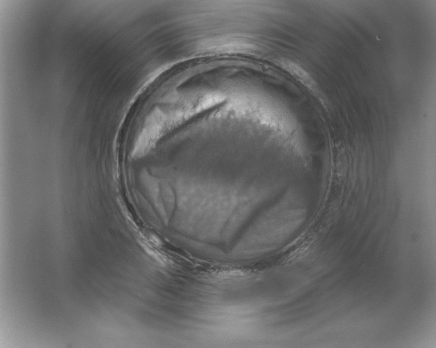 X0000063511031200602101920