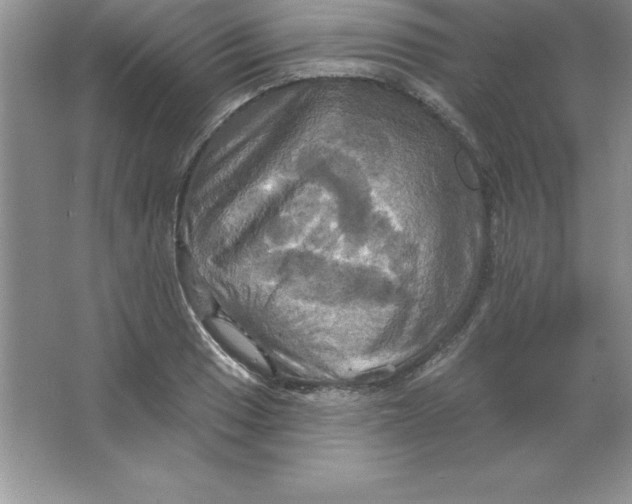 X0000063511033200602101920