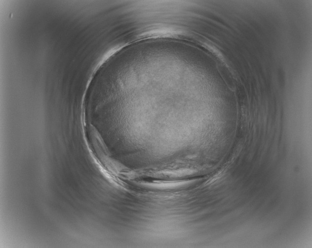 X0000063511034200602101920