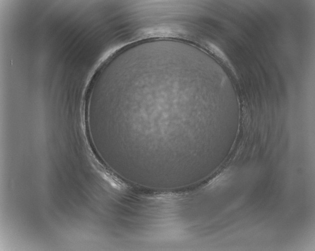 X0000063511035200602101920