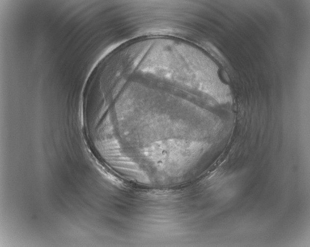 X0000063511036200602101920