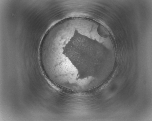 X0000063511037200602101920