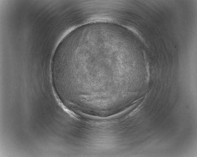 X0000063511038200602101920