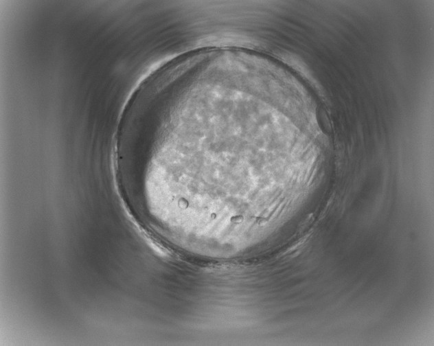 X0000063511040200602101920