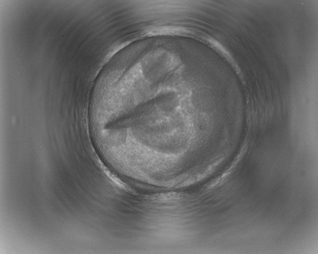 X0000063511041200602101920