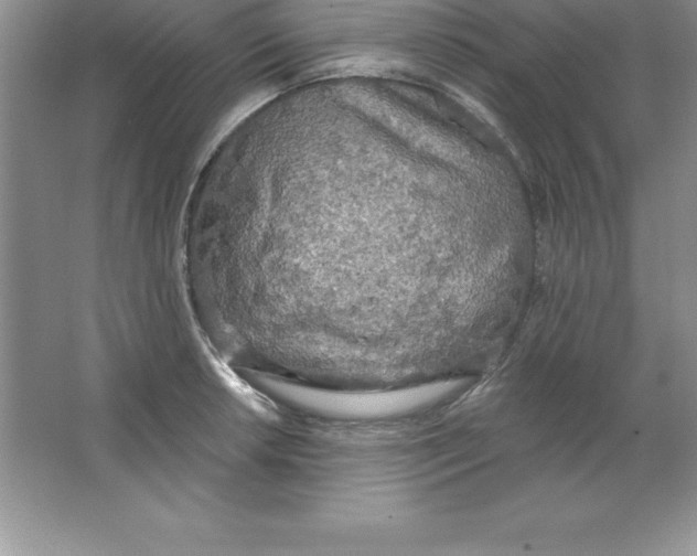 X0000063511042200602101920